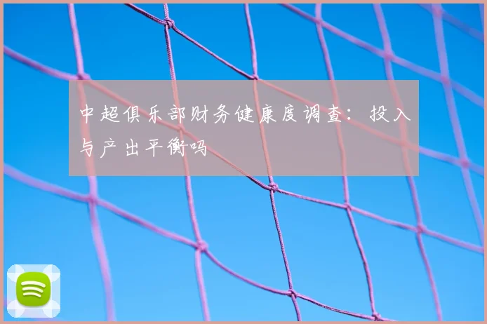 中超俱乐部财务健康度调查：投入与产出平衡吗